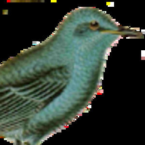 Meet your Posher, Caitlin